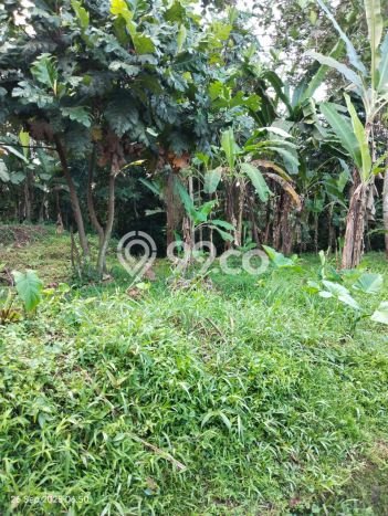 Tanah Kawasan Komersial di Ubud, Luas 1300m2m², Ideal untuk Bisnis Tanah Kawasan Komersial di Ubud, Luas 1300m2m², Ideal untuk Bisnis