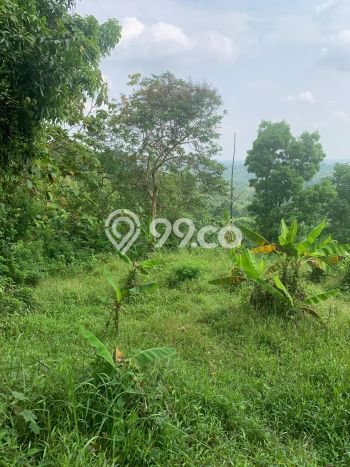 Tanah Dijual Lokasi Jatiluhur, Purwakarta Luas 21770m2 Legalitas Aman Tanah Dijual Lokasi Jatiluhur, Purwakarta Luas 21770m2 Legalitas Aman