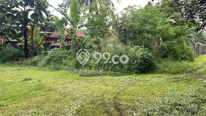 Lahan Dijual Lokasi Ciomas, Bogor dengan Luas Tanah 300m2 dan Status SHM Lahan Dijual Lokasi Ciomas, Bogor dengan Luas Tanah 300m2 dan Status SHM