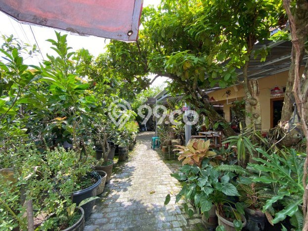 For Sale Rumah Mewah Exclusive di Banguntapan, Bantul For Sale Rumah Mewah Exclusive di Banguntapan, Bantul