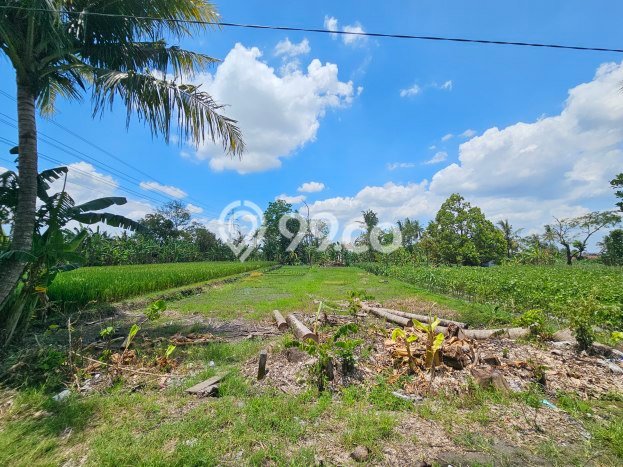 Tanah di Ngaglik, Sleman Luas 595m2 Dijual Segera Tanah di Ngaglik, Sleman Luas 595m2 Dijual Segera
