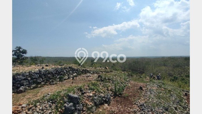 Tanah Kavling untuk Dijual di Semanu Gunung Kidul 5360m2 Tanah Kavling untuk Dijual di Semanu Gunung Kidul 5360m2