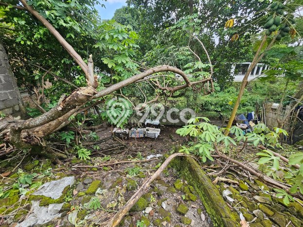 Tanah Dijual di Yogyakarta Seluas 106m2 Strategis Tanah Dijual di Yogyakarta Seluas 106m2 Strategis