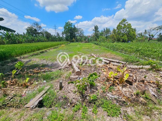 Tanah di Ngaglik, Sleman Luas 595m2 Dijual Segera Tanah di Ngaglik, Sleman Luas 595m2 Dijual Segera