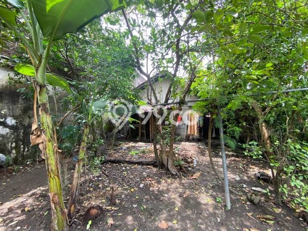 Kavling Tanah Dijual di Umbulharjo Yogyakarta Spesifikasi 313m2 Kavling Tanah Dijual di Umbulharjo Yogyakarta Spesifikasi 313m2