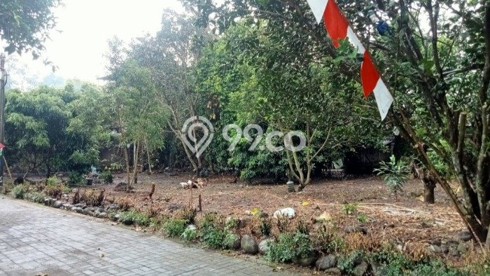 Tanah Dijual Lokasi Mlati Sleman SHM Tanah Dijual Lokasi Mlati Sleman SHM