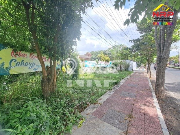 Kavling Tanah di Banyuwangi Dijual Luas 1520m2 Legalitas SHM Kavling Tanah di Banyuwangi Dijual Luas 1520m2 Legalitas SHM
