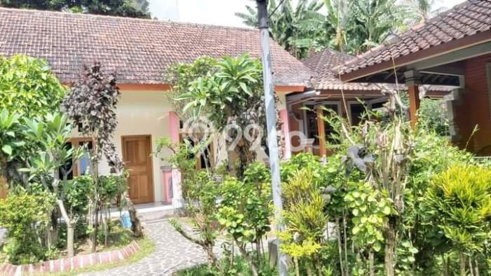 Hotel Kawasan Premium Kawasan Buleleng, Luas 1500m2m², Mainroad Hotel Kawasan Premium Kawasan Buleleng, Luas 1500m2m², Mainroad