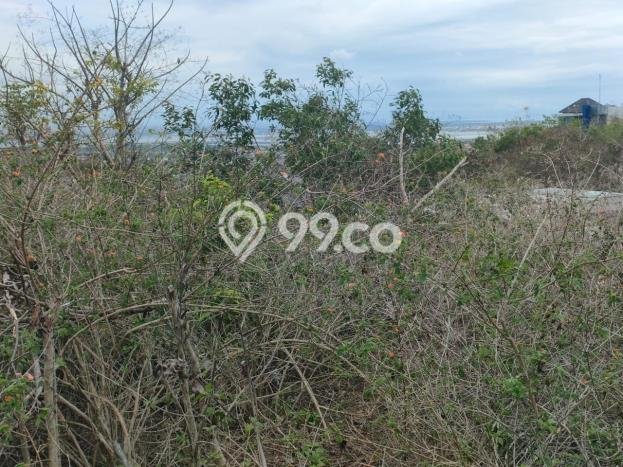 Tanah Dijual Area Strategis di Jimbaran Badung 1300m2 Tanah Dijual Area Strategis di Jimbaran Badung 1300m2