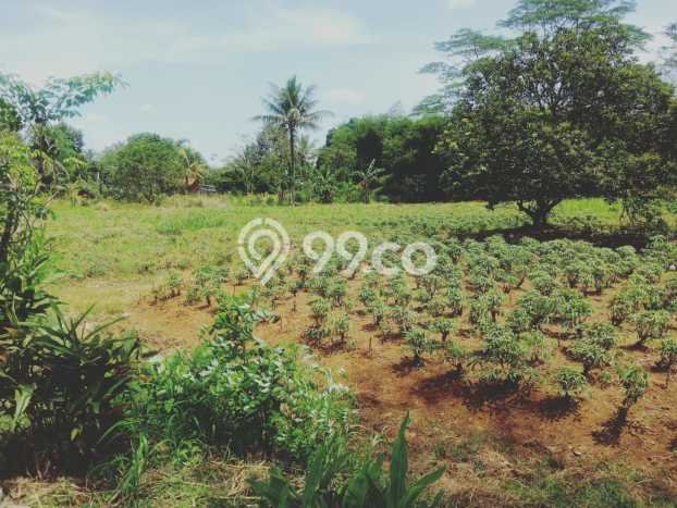 Tanah Kavling untuk Dijual di Ranca Bungur Bogor 112m2 Tanah Kavling untuk Dijual di Ranca Bungur Bogor 112m2