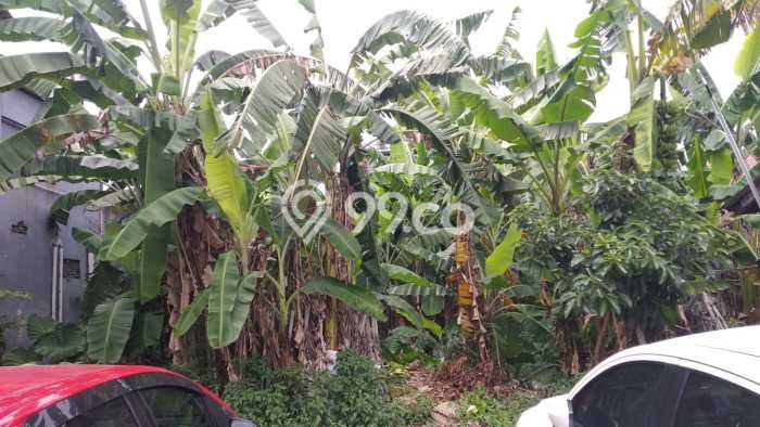 Tanah di Beji, Depok Luas 89m2 Dijual Segera Tanah di Beji, Depok Luas 89m2 Dijual Segera