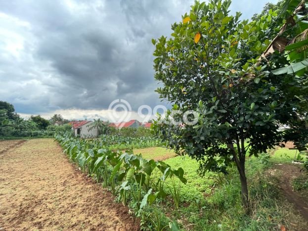 Tanah Kavling Dijual di Tanah Sareal, Bogor dengan Luas Tanah 238m2 Tanah Kavling Dijual di Tanah Sareal, Bogor dengan Luas Tanah 238m2