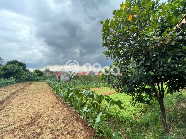 Kavling Tanah untuk Dijual di Tanah Sareal, Bogor, Luas 149m2 Kavling Tanah untuk Dijual di Tanah Sareal, Bogor, Luas 149m2