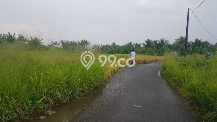Lahan untuk Dijual Lokasi Cigombong, Bogor Luas 115m2 SHM Lahan untuk Dijual Lokasi Cigombong, Bogor Luas 115m2 SHM