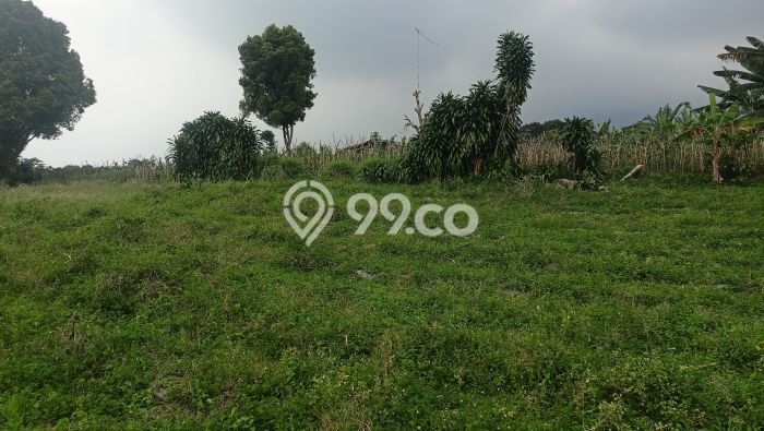 Kavling Tanah di Tamansari Dijual Luas 174m2 Legalitas SHM Kavling Tanah di Tamansari Dijual Luas 174m2 Legalitas SHM