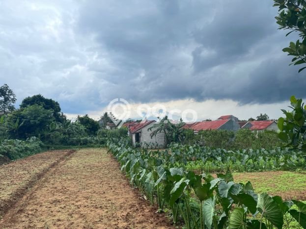 Tanah Dijual di Bogor Seluas 192m2 Strategis Tanah Dijual di Bogor Seluas 192m2 Strategis