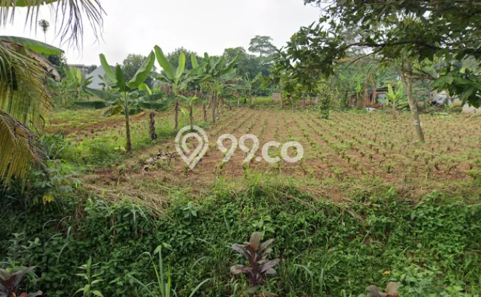 Kavling Tanah di Bojong Gede Dijual Luas 104m2 Legalitas SHM Kavling Tanah di Bojong Gede Dijual Luas 104m2 Legalitas SHM