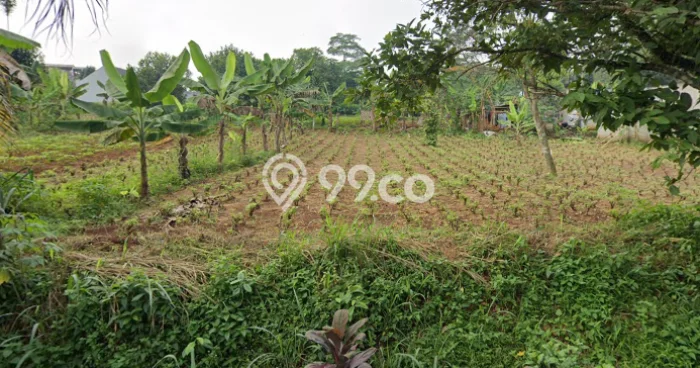 Kavling Tanah di Bojong Gede Dijual Luas 104m2 Legalitas SHM Kavling Tanah di Bojong Gede Dijual Luas 104m2 Legalitas SHM