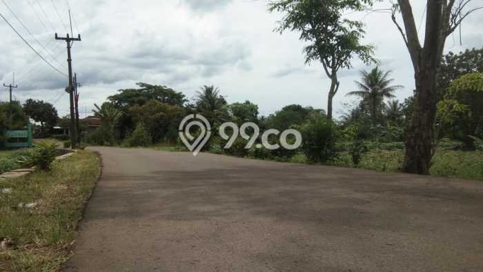 Tanah di Ranca Bungur, Bogor Luas 132m2 Dijual Segera Tanah di Ranca Bungur, Bogor Luas 132m2 Dijual Segera