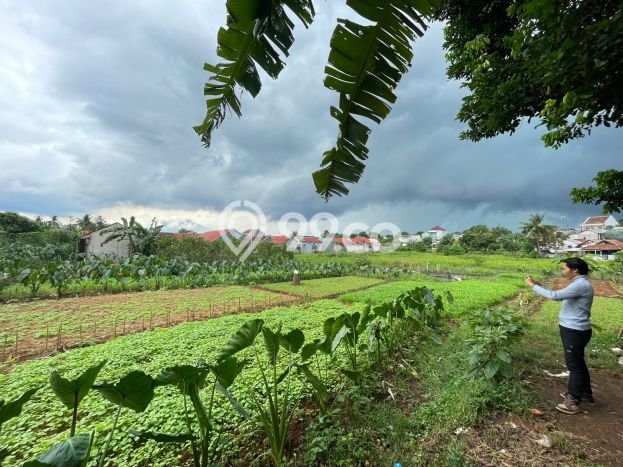 Tanah Kavling Dijual di Tanah Sareal, Bogor dengan Luas Tanah 238m2 Tanah Kavling Dijual di Tanah Sareal, Bogor dengan Luas Tanah 238m2