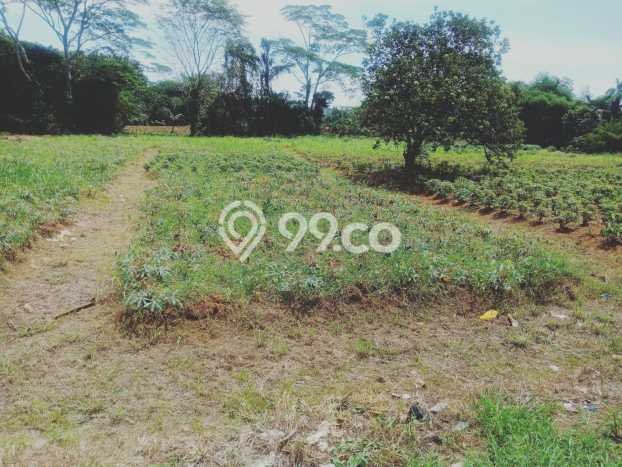 Tanah Kavling untuk Dijual di Ranca Bungur Bogor 112m2 Tanah Kavling untuk Dijual di Ranca Bungur Bogor 112m2