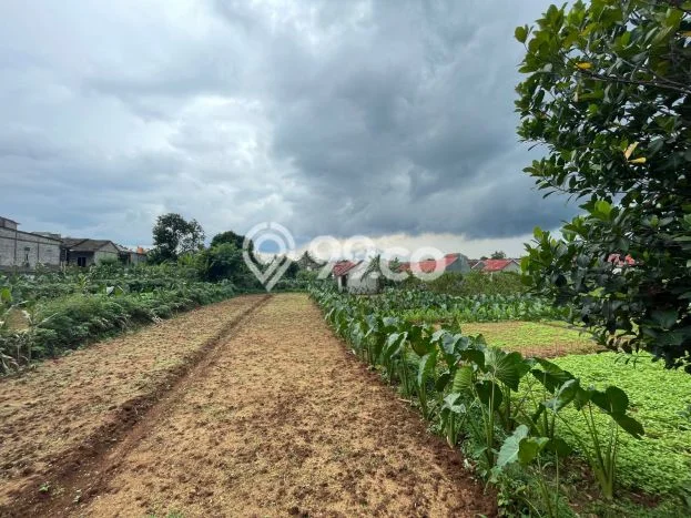Kavling Tanah untuk Dijual di Tanah Sareal, Bogor, Luas 149m2 Kavling Tanah untuk Dijual di Tanah Sareal, Bogor, Luas 149m2