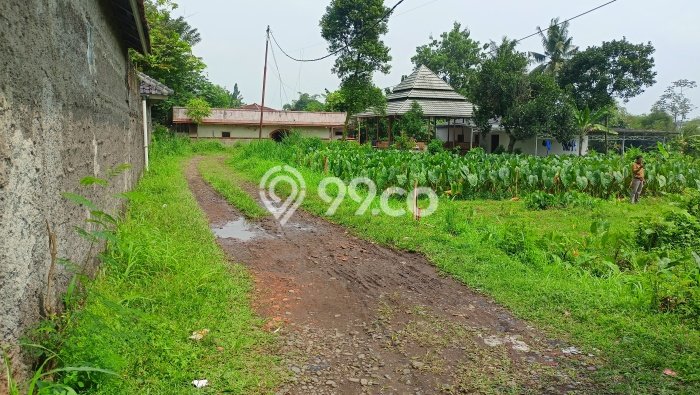 Lahan untuk Dijual di Dramaga Bogor Luas 142m2 Lahan untuk Dijual di Dramaga Bogor Luas 142m2
