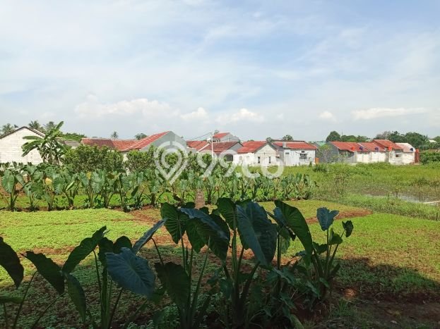Tanah Kavling Dijual di Bogor dengan Spesifikasi 123m2 Tanah Kavling Dijual di Bogor dengan Spesifikasi 123m2