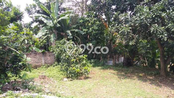 Kavling Tanah Dijual di Jagakarsa Jakarta Selatan Spesifikasi 97m2 Kavling Tanah Dijual di Jagakarsa Jakarta Selatan Spesifikasi 97m2