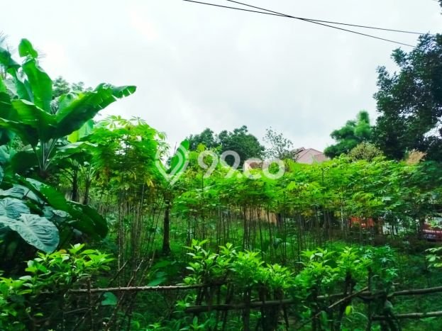Tanah Dijual di Bogor Seluas 70m2 Strategis Tanah Dijual di Bogor Seluas 70m2 Strategis