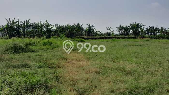 Kavling Tanah Dijual di Cigombong, Bogor, Luas 237m2 Area Strategis Kavling Tanah Dijual di Cigombong, Bogor, Luas 237m2 Area Strategis