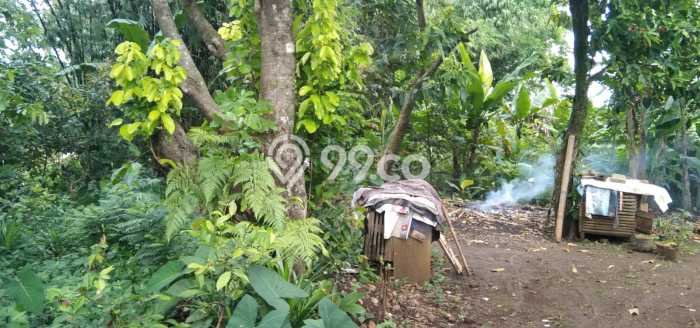 Kavling Tanah di Cibinong Dijual Luas 116m2 Legalitas SHM Kavling Tanah di Cibinong Dijual Luas 116m2 Legalitas SHM
