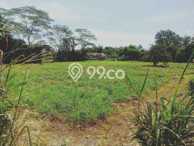 Kavling Tanah Dijual di Ranca Bungur Bogor Spesifikasi 200m2 Kavling Tanah Dijual di Ranca Bungur Bogor Spesifikasi 200m2