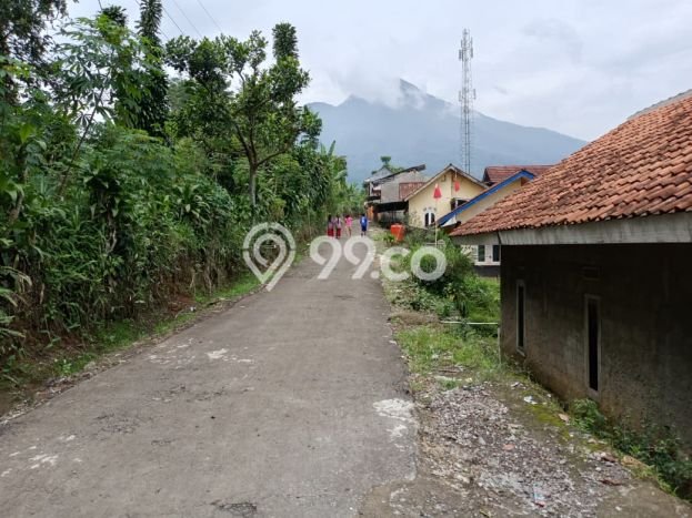 Lahan Investasi Lokasi Tamansari Bogor SHM Lahan Investasi Lokasi Tamansari Bogor SHM