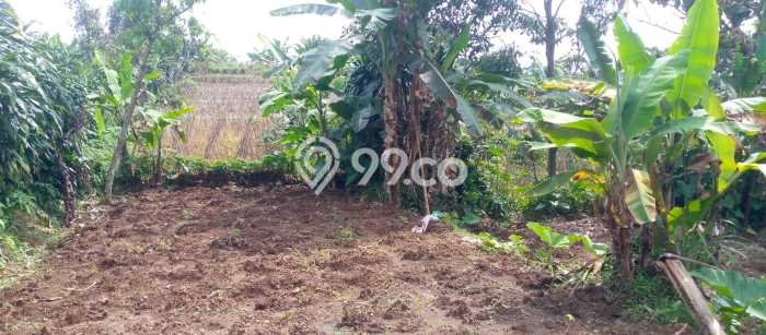 Kavling Tanah Dijual di Tamansari, Bogor, Luas 154m2 Area Strategis Kavling Tanah Dijual di Tamansari, Bogor, Luas 154m2 Area Strategis