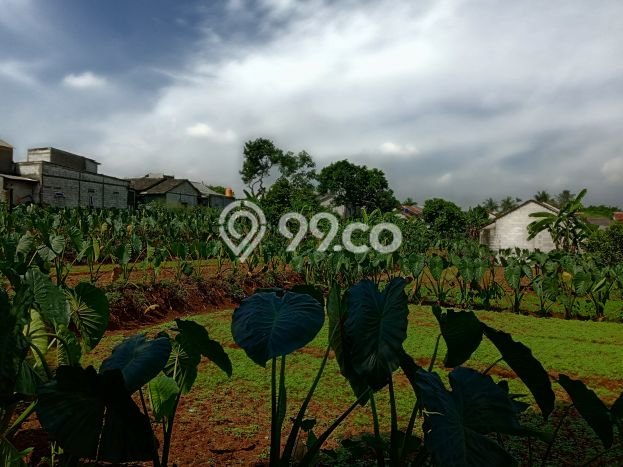Tanah Kavling Dijual di Bogor dengan Spesifikasi 123m2 Tanah Kavling Dijual di Bogor dengan Spesifikasi 123m2