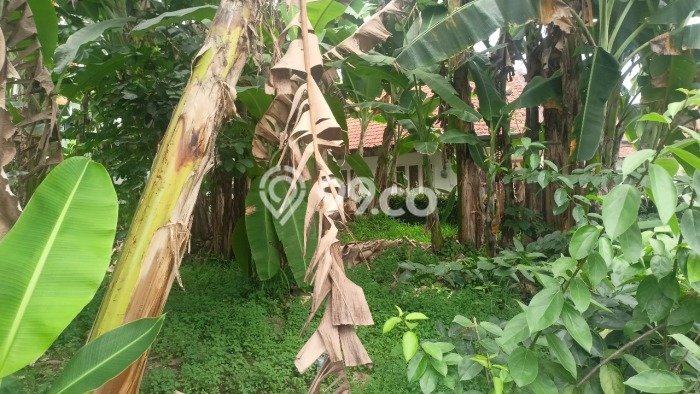Tanah Kavling Dijual di Panaragan, Bogor dengan Luas Tanah 96m2 Tanah Kavling Dijual di Panaragan, Bogor dengan Luas Tanah 96m2