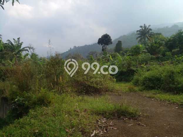 Lahan Strategis di Cijeruk Dijual dengan Luas 98m2 Lahan Strategis di Cijeruk Dijual dengan Luas 98m2