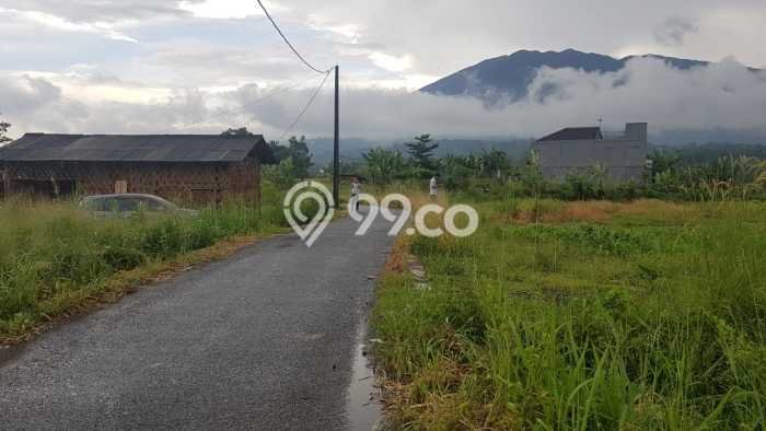 Tanah Kavling untuk Dijual di Cigombong Bogor 124m2 Tanah Kavling untuk Dijual di Cigombong Bogor 124m2
