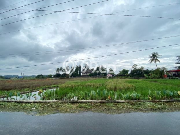 Lahan Strategis di Bogor Barat Dijual dengan Luas 129m2 Lahan Strategis di Bogor Barat Dijual dengan Luas 129m2