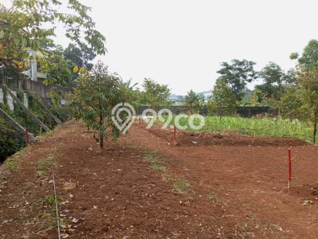 Kavling Tanah Dijual di Bogor Barat Bogor Spesifikasi 98m2 Kavling Tanah Dijual di Bogor Barat Bogor Spesifikasi 98m2