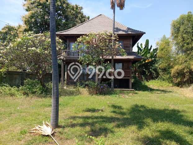 Untuk Dijual Tanah di Buleleng, Luas 800m2 SHM Untuk Dijual Tanah di Buleleng, Luas 800m2 SHM
