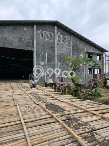 Gudang Disewakan Cepat di Ngaliyan Semarang LB 2070m2 Gudang Disewakan Cepat di Ngaliyan Semarang LB 2070m2