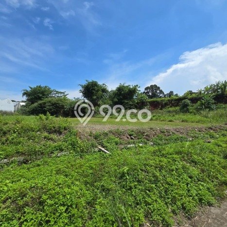 Tanah Kavling untuk Disewa di Ngaliyan Semarang 1263m2 Tanah Kavling untuk Disewa di Ngaliyan Semarang 1263m2