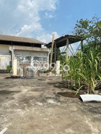 Untuk Disewa Tanah di Kapuk Kamal Jakarta Barat Seluas 2376m2 Untuk Disewa Tanah di Kapuk Kamal Jakarta Barat Seluas 2376m2