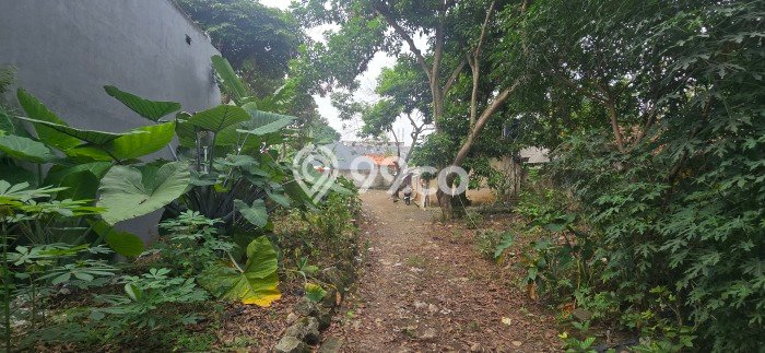 Tanah Kavling Dijual di Tangerang Selatan dengan Spesifikasi 2795m2 Tanah Kavling Dijual di Tangerang Selatan dengan Spesifikasi 2795m2