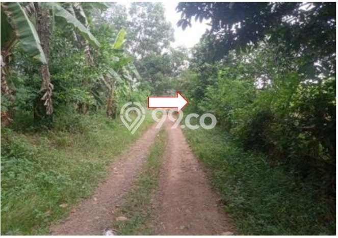 Kavling Tanah Dijual di Campaka Purwakarta Spesifikasi 6026m2 Kavling Tanah Dijual di Campaka Purwakarta Spesifikasi 6026m2