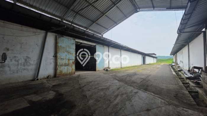 Gudang disewakan lokasi strategis Tugu Semarang 3846m2 Gudang disewakan lokasi strategis Tugu Semarang 3846m2