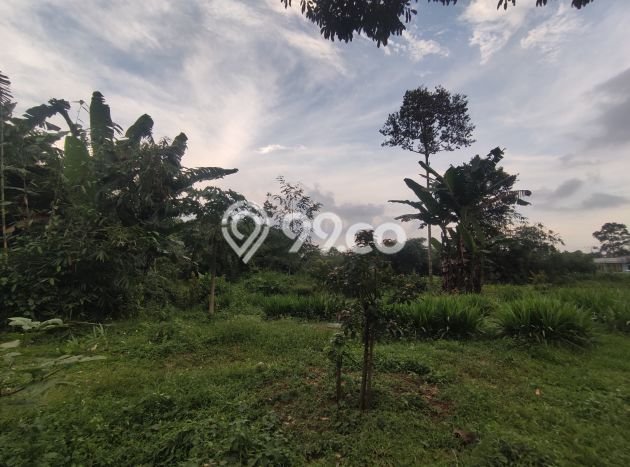 Tanah Dijual Lokasi Gunung Pati Semarang SHM Tanah Dijual Lokasi Gunung Pati Semarang SHM