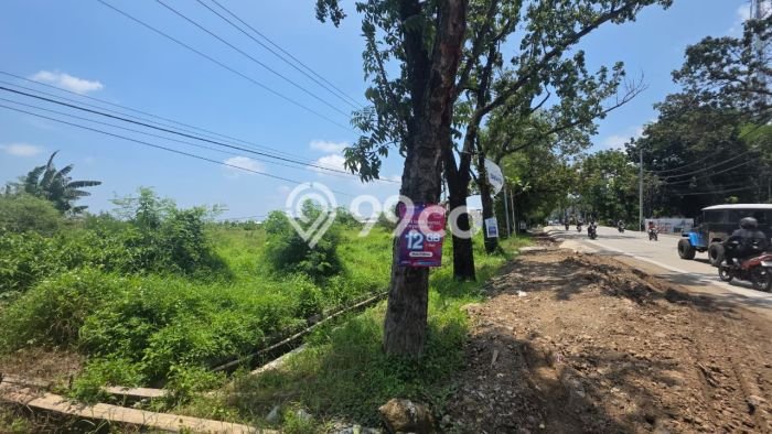 Jarang Ada! Tanah di Kaliwungu Punya Luas 16000m2 SHM Jarang Ada! Tanah di Kaliwungu Punya Luas 16000m2 SHM